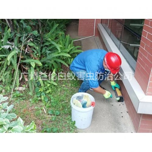 番禺施药灭鼠工程